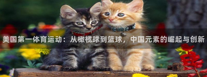 bbin视讯游戏官网：美国第一体育运动：从橄榄球到篮球，中国元素的崛起与创新