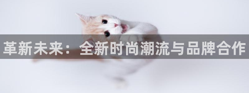 bbin视讯游戏官网：革新未来：全新时尚潮流与品牌合作