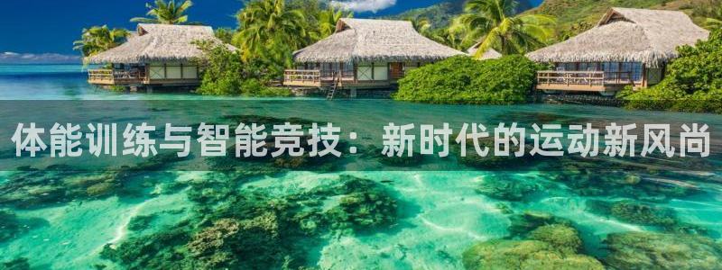 bbin视讯游戏平台：体能训练与智能竞技：新时代的运动新风尚