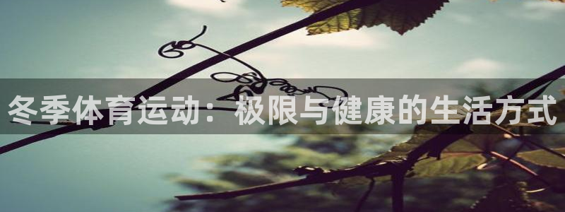 bbin视讯游戏官网：冬季体育运动：极限与健康的生活方式