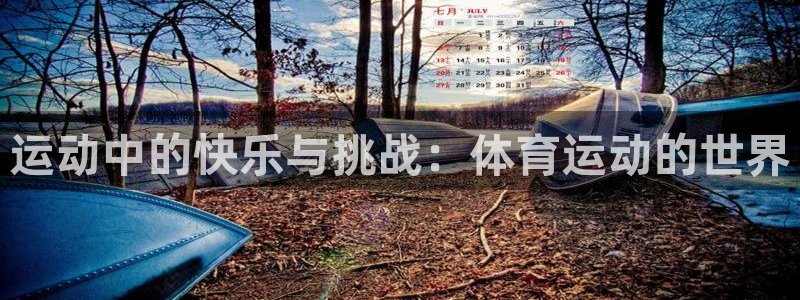 bbin视讯下：运动中的快乐与挑战：体育运动的世界