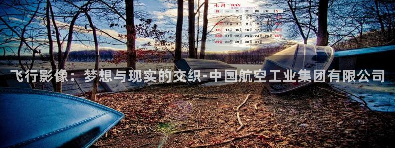 bbin视讯游戏官网：飞行影像：梦想与现实的交织-中国航空工业集团有限公司