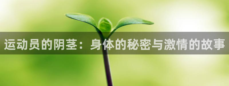 bbin视讯游戏平台：运动员的阴茎：身体的秘密与激情的故事
