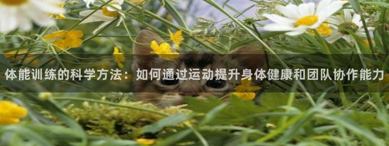 bbin视讯游戏平台：体能训练的科学方法：如何通过运动提升身体健康和团队协作能力