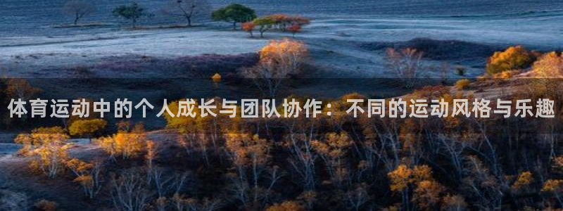 bbin视讯下：体育运动中的个人成长与团队协作：不同的运动风格与乐趣