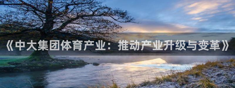 bbin视讯下：《中大集团体育产业：推动产业升级与变革》