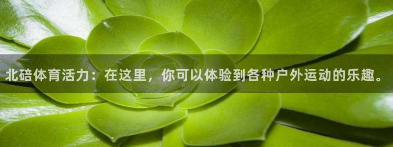 bbin视讯：北碚体育活力：在这里，你可以体验到各种户外运动的乐趣。