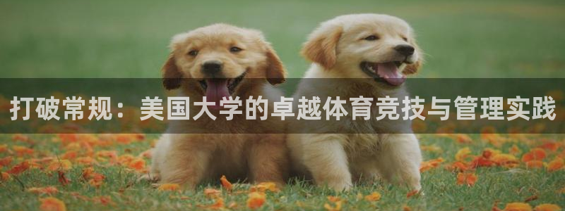 bbin视讯：打破常规：美国大学的卓越体育竞技与管理实践